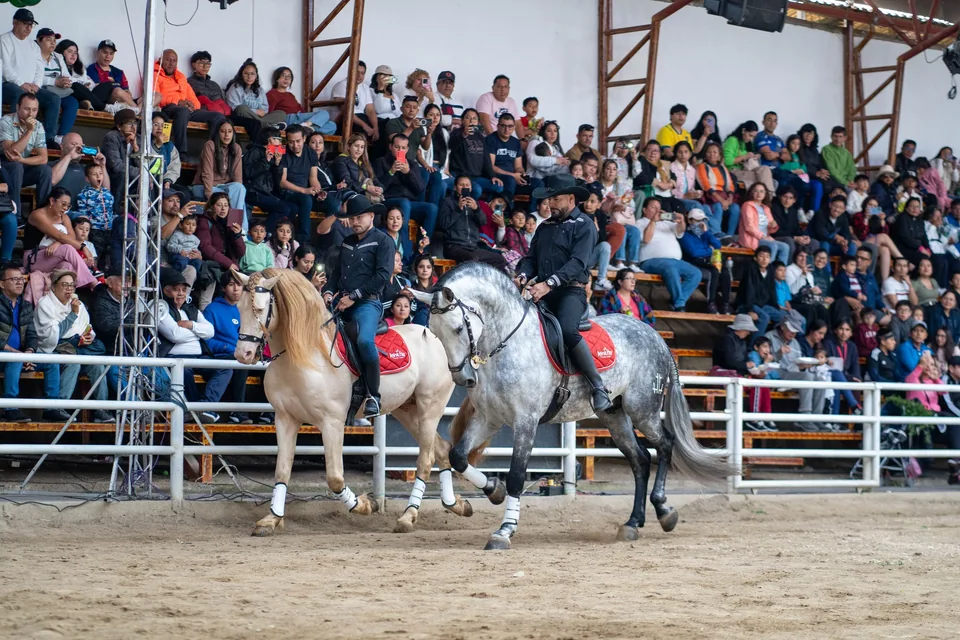 Una presentación en el área de espectáculos