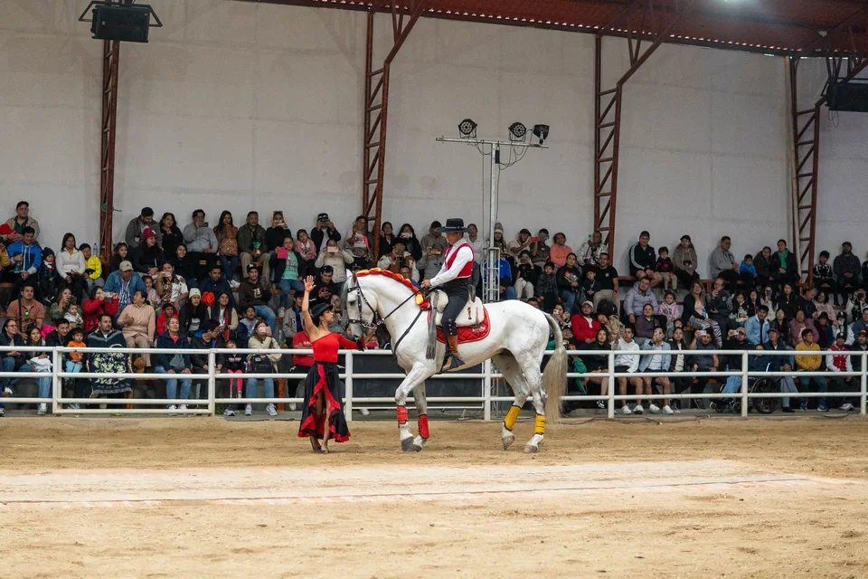La pista y el público durante una función